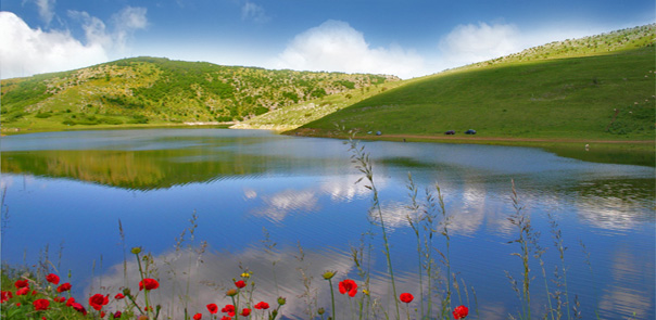 construction of ecological sites, construction mechanization, transportation, drilling and agriculture